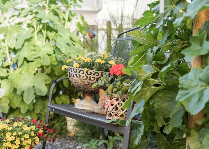 Gaestehaus Brugger Martin Affittacamere Sölden